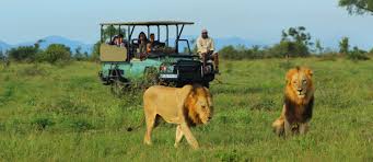 South Africa – Safari in Kruger National Park
