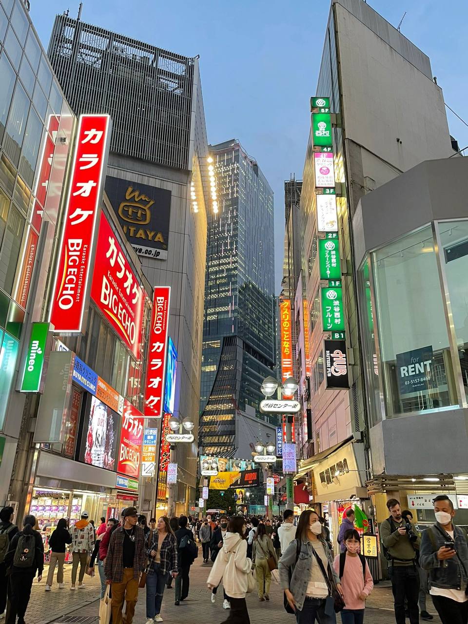 Japan – Cherry Blossoms in Kyoto